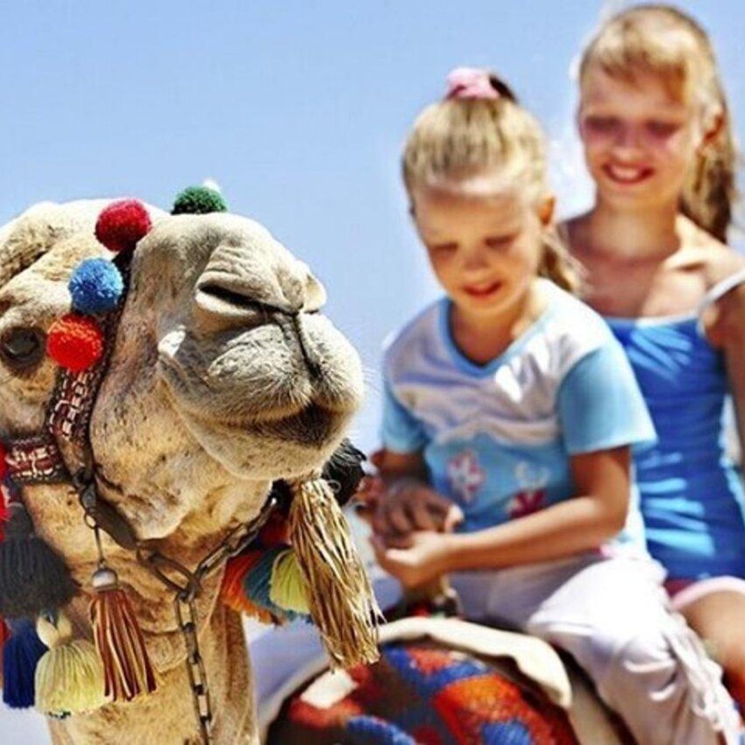 Visite privée de Tanger avec déjeuner et promenade à dos de chameau - dromadaire