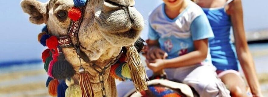Visite privée de Tanger avec déjeuner et promenade à dos de chameau