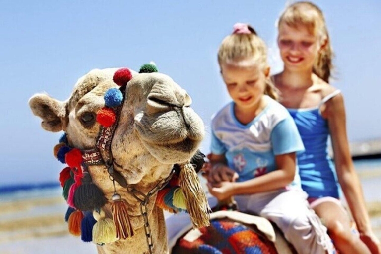 Visite privée de Tanger avec déjeuner et promenade à dos de chameau