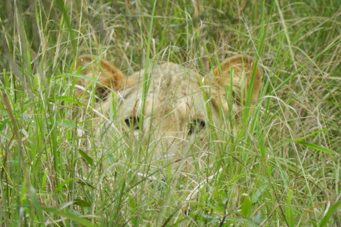 St Lucia, KZN : 3-Day Wildlife and Cultural Safari