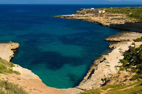 From Marsaxlokk: St Peter's Pool Boat Tour St Peter's Pool Boat Tour