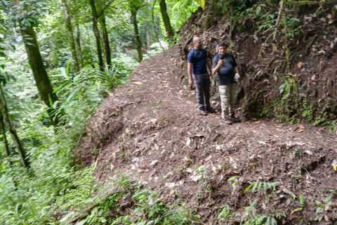 Jacó Puntarenas: Waterfalls and 4x4 experience