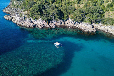 Whitianga: 2-Hour Glass Bottom Boat Cathedral Cove Tour