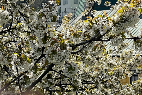 From Bratislava: Day Trip to UNESCO Town of Banská Štiavnica