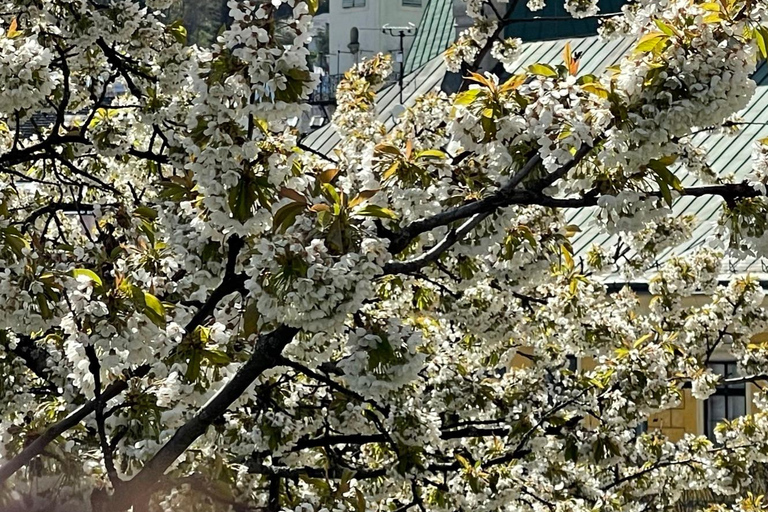 From Bratislava: Day Trip to UNESCO Town of Banská Štiavnica