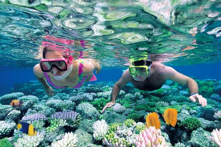 Yogyakarta Sadranan Beach Canoeing and Snorkeling Adventure