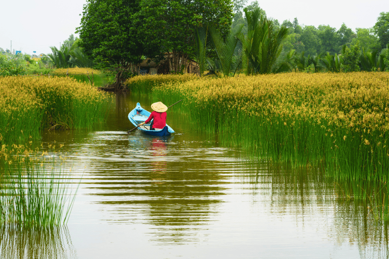 Ho Chi Minh: Cu Chi Tunnels and Mekong Delta Private Tour