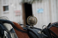 Levi, Polarlicht Touren, ein Pferd offenen Schlitten Fahrt - Hizvo
