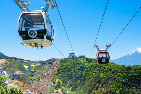 From Tokyo : Mount Fuji Private Day Trip with Hotel Pickup Mount Fuji & Hakone Customize Tour With English Guide