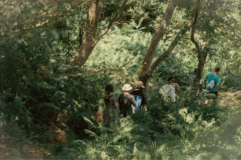 Budva: Kayak & Hike Experience on Sveti Nikola Island