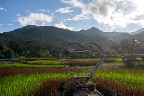 half day tour around pai and most seeing spots in pai - Image 2