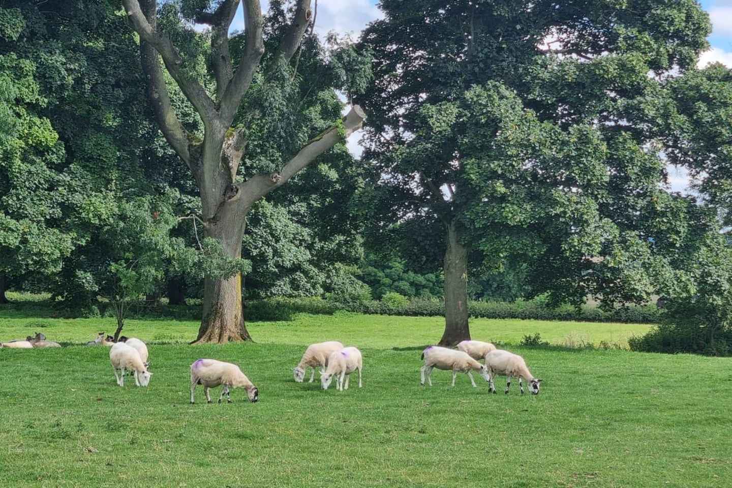 Frá London: Heilsdagsferð um Cotswolds fyrir litla hópa