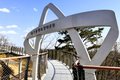 Seoul: Aegibong Peace Park & Bibimbap/Chili Sauce Making Dongdaemun 9:15 am