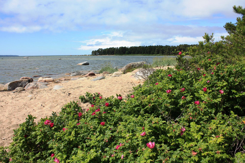 Arvo Pärt Experience: Centre Visit, Sea Cliffs & Waterfall