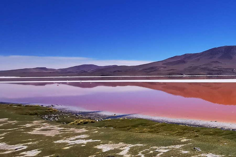 Uyuni: Salar de Uyuni 4x4 Tour with Hot Springs