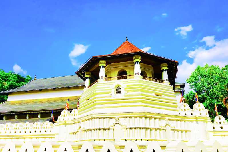Colombo: 8-Day Private Cultural Triangle & Wildlife Trip