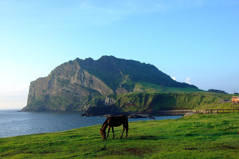 Jeju: Day Tour, Small Volcano & Landmark & UNESCO Heritage Private Day Tour 5hr (Just Car Charter/Not including ticket)