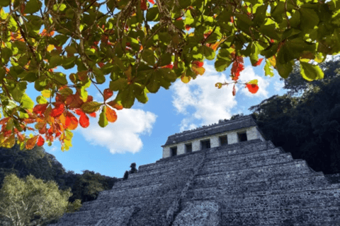 San Cristobal: 3 Days Nature Tour Southern Selva Lacandona In a cabin within the jungle with a shared bathroom