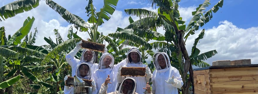 Visite d'une ferme apicole et dégustation de miel
