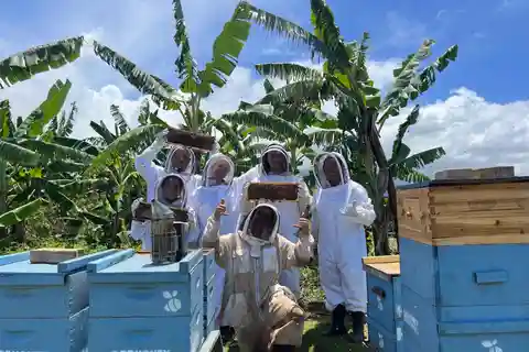 Bee Farm Tour & Honey Tasting