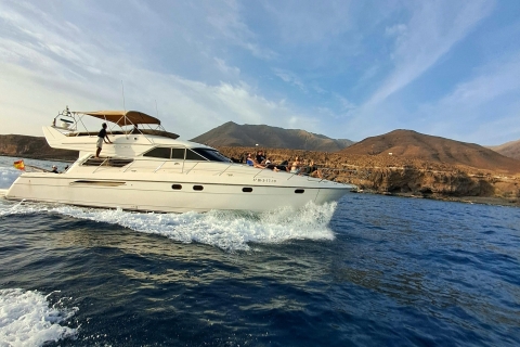 Dolfijn & walvis kijken met luxe jachtFuerteventura: Luxe jachttour met snorkelen