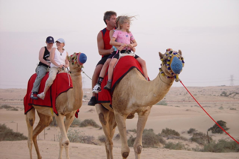 Agadir: Paseo en camello con té y traslados