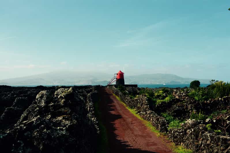 Pico island: discover the volcanic jewel of the Atlantic