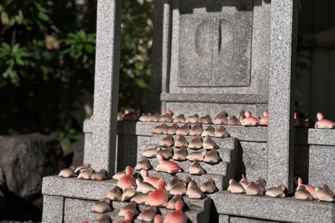 Osaka: Night view and Jinjya tour