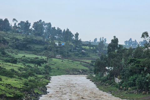 Addis Ababa: 5-Day Northern Ethiopia Historical Tour