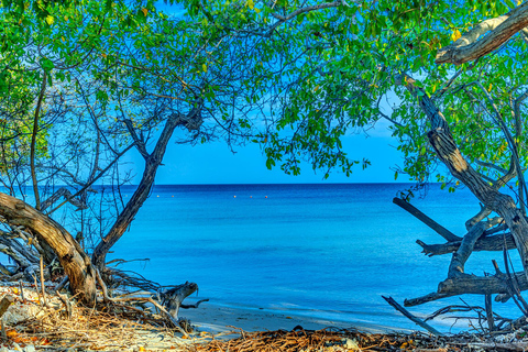 EXPÉRIENCE D'UNE JOURNÉE SUR L'ÎLE DE L'ENCHANTEMENTEXPÉRIENCE D'UNE JOURNÉE À L'ISLA DEL ENCANTO