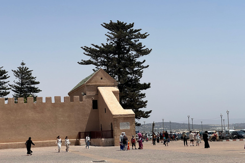 From Marrakech: Essaouira Day Trip with Optional Activities