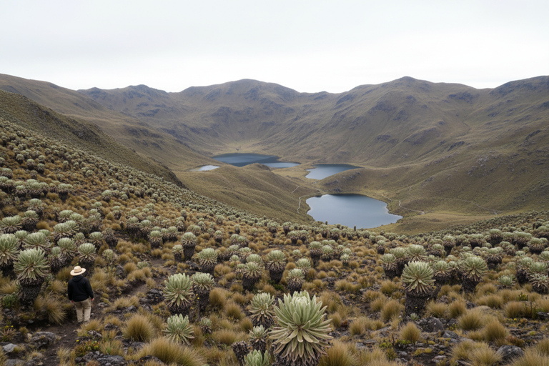 From Bogotá: Siecha Lagoons & Andean Bear Nature Experience