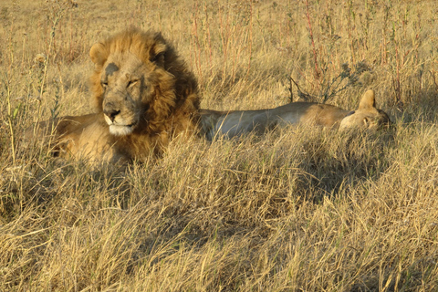 7 Días - Savuti - Khwai - Moremi (Safari móvil)