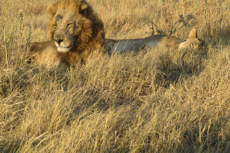 7 Días - Savuti - Khwai - Moremi (Safari móvil)