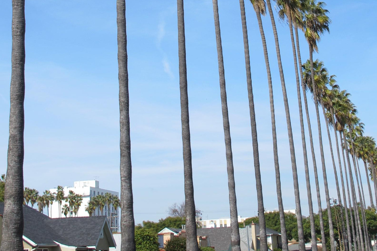 Los Angeles: South LA Black History Guided Driving Tour