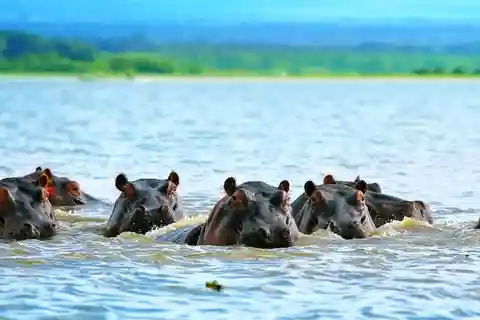 𝐇ell's Gate With Boat Ride In Lake Naivasha Day Tour