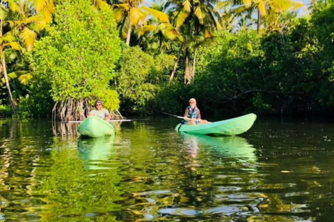 All-Inclusive Galle Dutch Fort, Koggala Lake & Kayak Tour From Tangalle: Galle Dutch Fort, Koggala Lake & Kayak