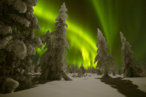 Rovaniemi: Northern Lights Hunt with Free Second Tour