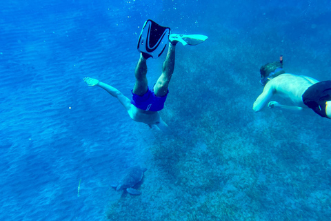 Snorkeling tour and real Tenerife typically lunch