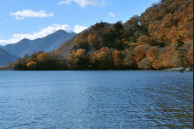 From Tokyo: Nikko Private Tour with Toshogu Shrine & Falls