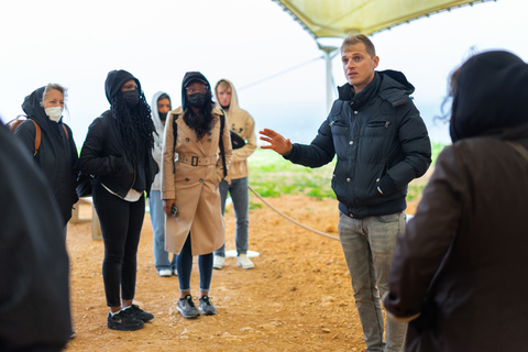 马耳他史前寺庙之旅