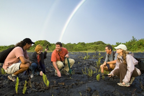 Desde Kona y Waikoloa: tour íntimo de descubrimiento de volcanesTour al volcán en grupos pequeños en el crepúsculo
