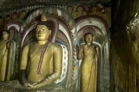 From Colombo: 10-Day Private Sri Lanka Tour with Transfers