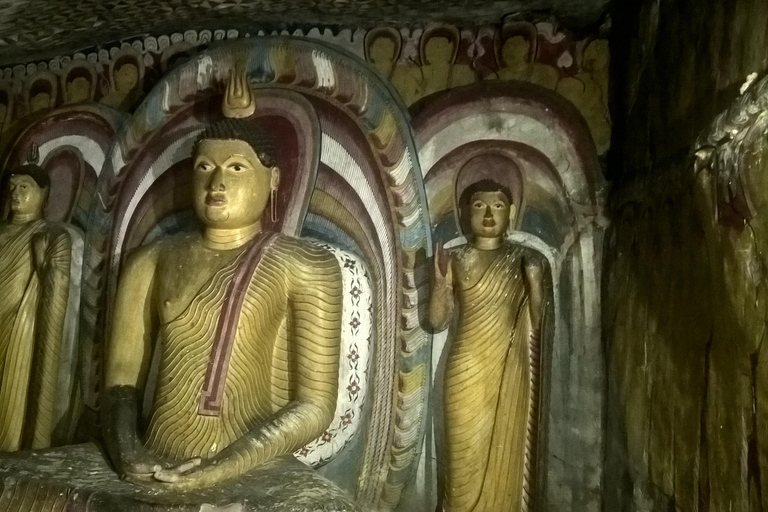From Colombo: 10-Day Private Sri Lanka Tour with Transfers