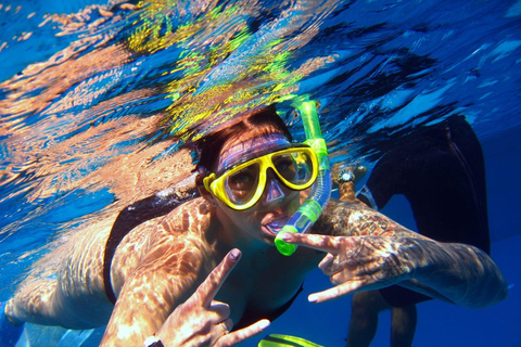 From Sharm El-Sheikh: Ras Mohammed Snorkeling Trip Ras Mohammed and white island cruise