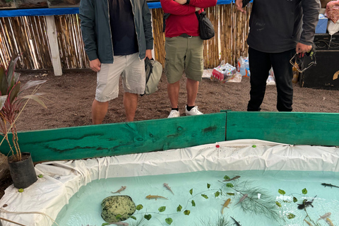 Xochimilco: Sanctuary of the Ajolote Axolotl