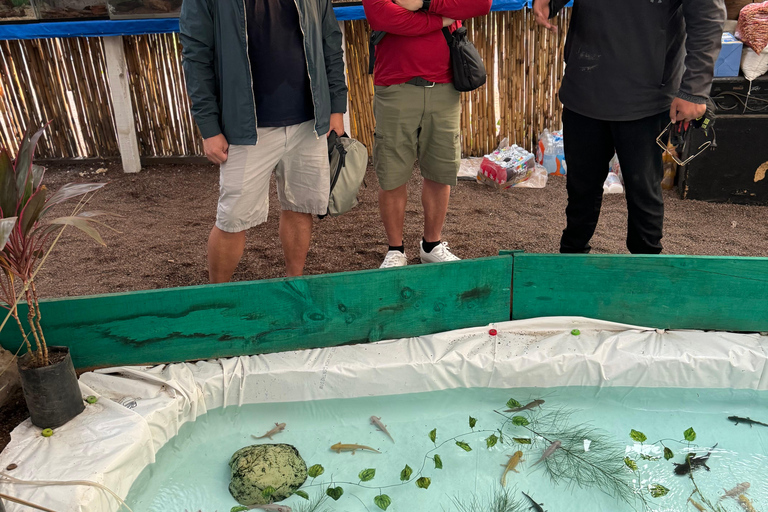 Xochimilco: Sanctuary of the Ajolote Axolotl
