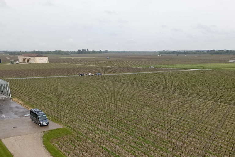 Wine Tour : la beauté et les saveurs des vignobles bordelais.