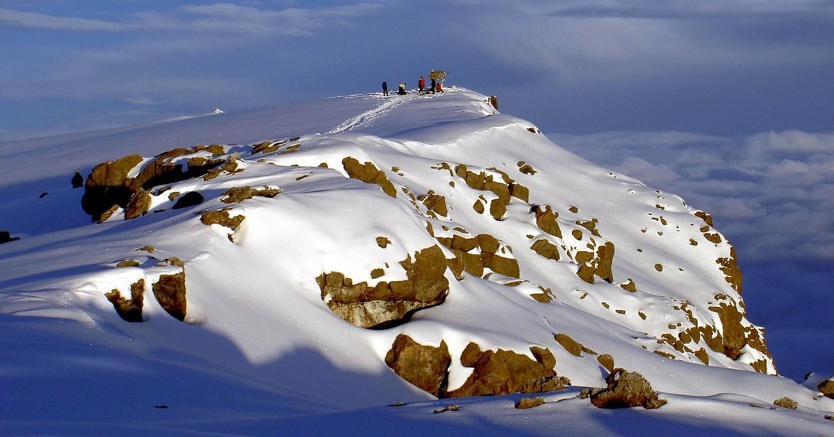 Best Kilimanjaro Day Hike Shira Plateau experience | GetYourGuide