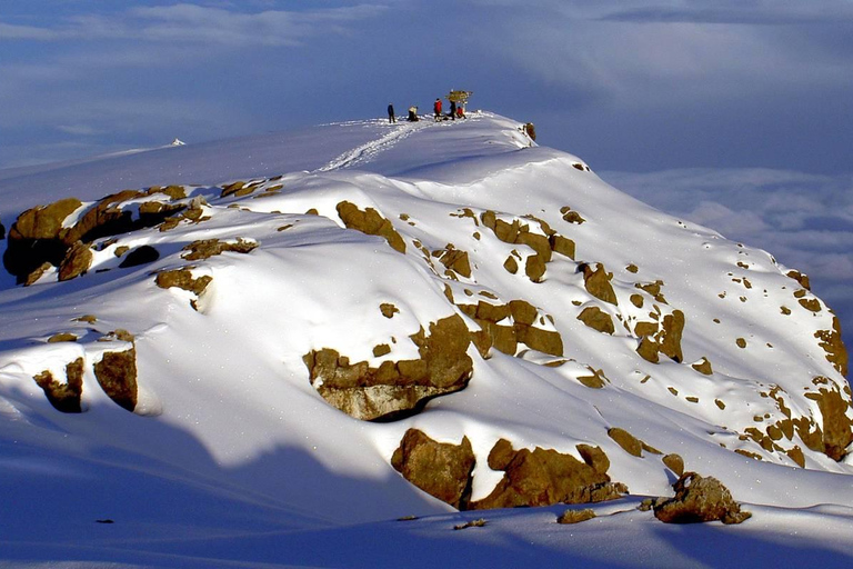 Beste Kilimanjaro dagwandeling - Machame Route - Zara Tours